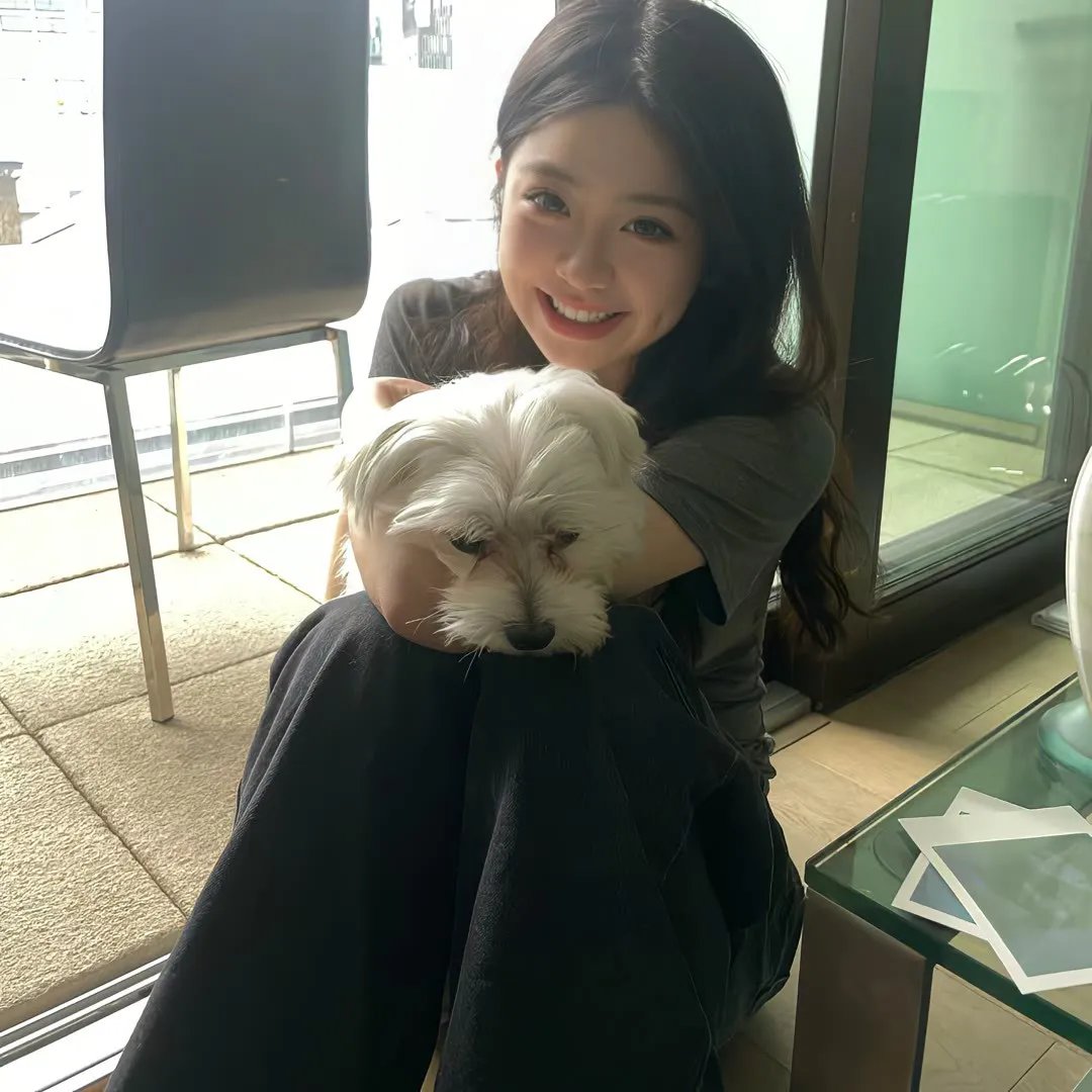 爱与梦飞翔